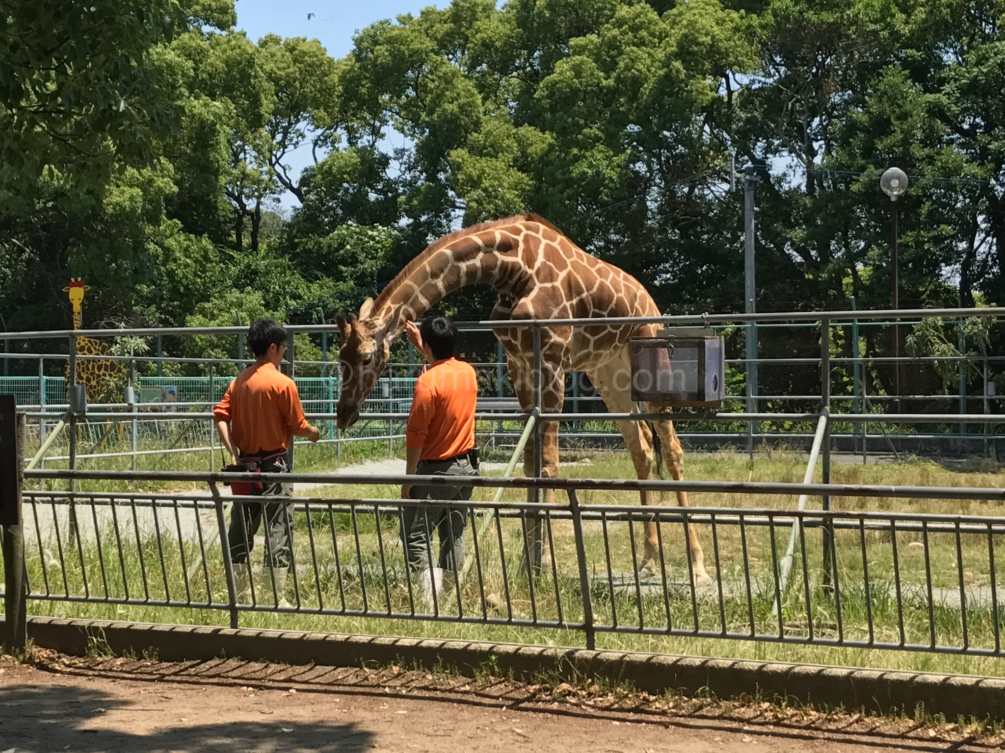 大牟田市動物園